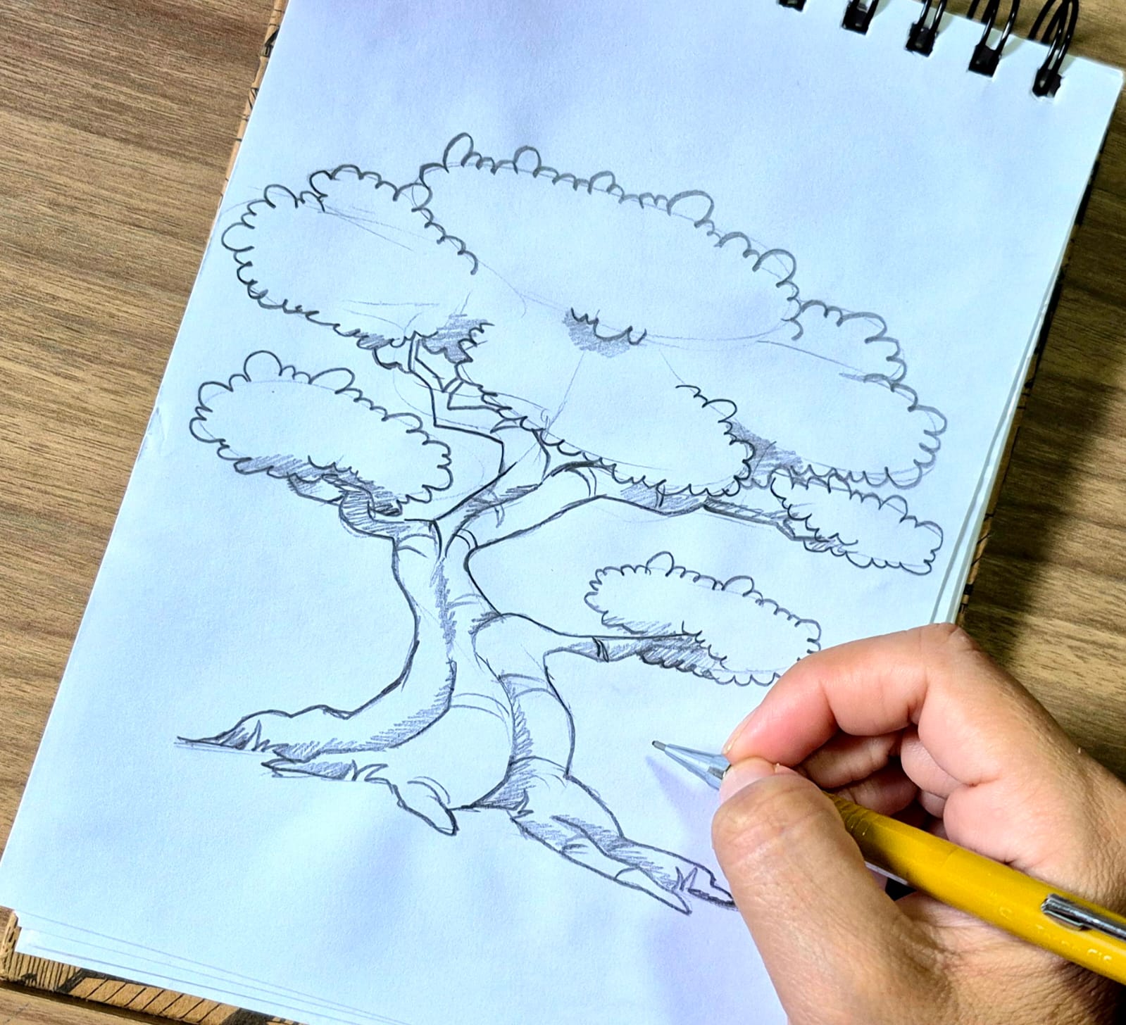 Ilustração Primeiros Traços